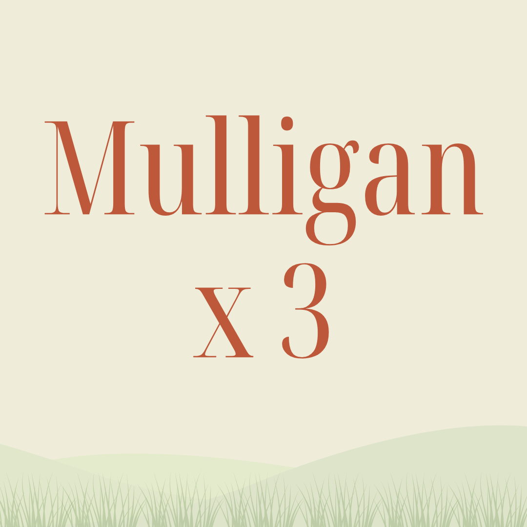 Gardner Health Services Fundraising Golf Tournament - Default Image of Mulligan x 3