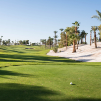 IFE Golf Tournament 2025 - Default Image of Mulligan