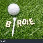 Image of Birdie Sponsor