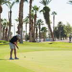 Image of Exhibitor Single