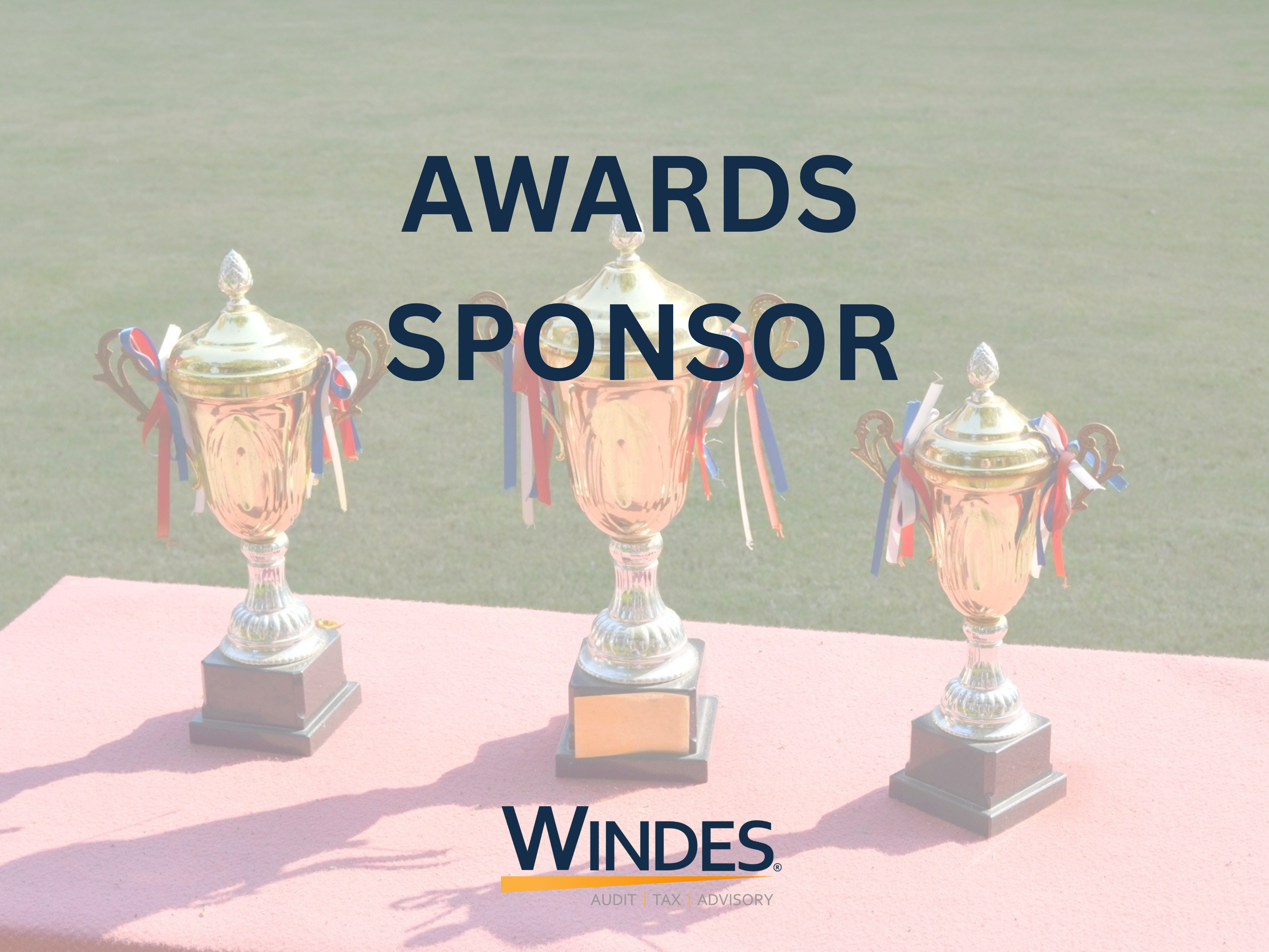 Windes Golf & Give Invitational - Default Image of Awards Sponsor