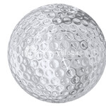 Image of Platinum Sponsor 