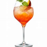 Image of Cocktail Reception Sponsor 