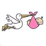 Image of Stork Delivery:  Baby Diapers & Wipes