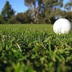 Image of Contest Sponsor - Hole in One