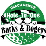 Image of Hole-In-One