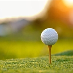 Image of GIFT IN KIND