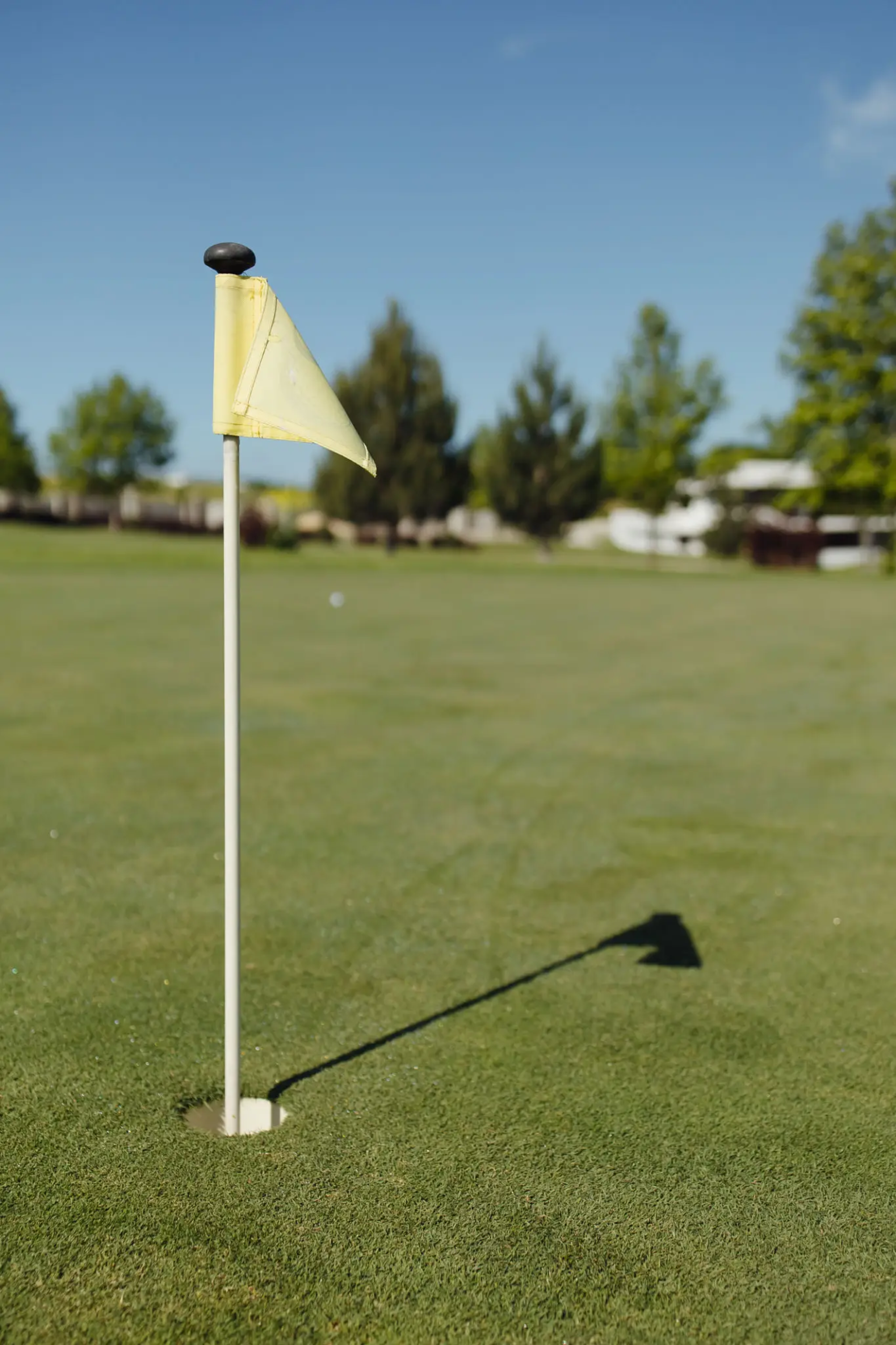 Dearborn Realtist Board's 39th Annual William G. Gray Scholarship Golf Outing & Golf Clinic - Default Image of HOLE SPONSOR