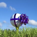 Image of Tournament Raffle Prize Sponsor