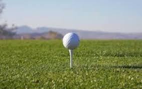 Robert Borchertmeyer Annual Golf Outing 2025 - Default Image of Hit Closer to Hole on #3