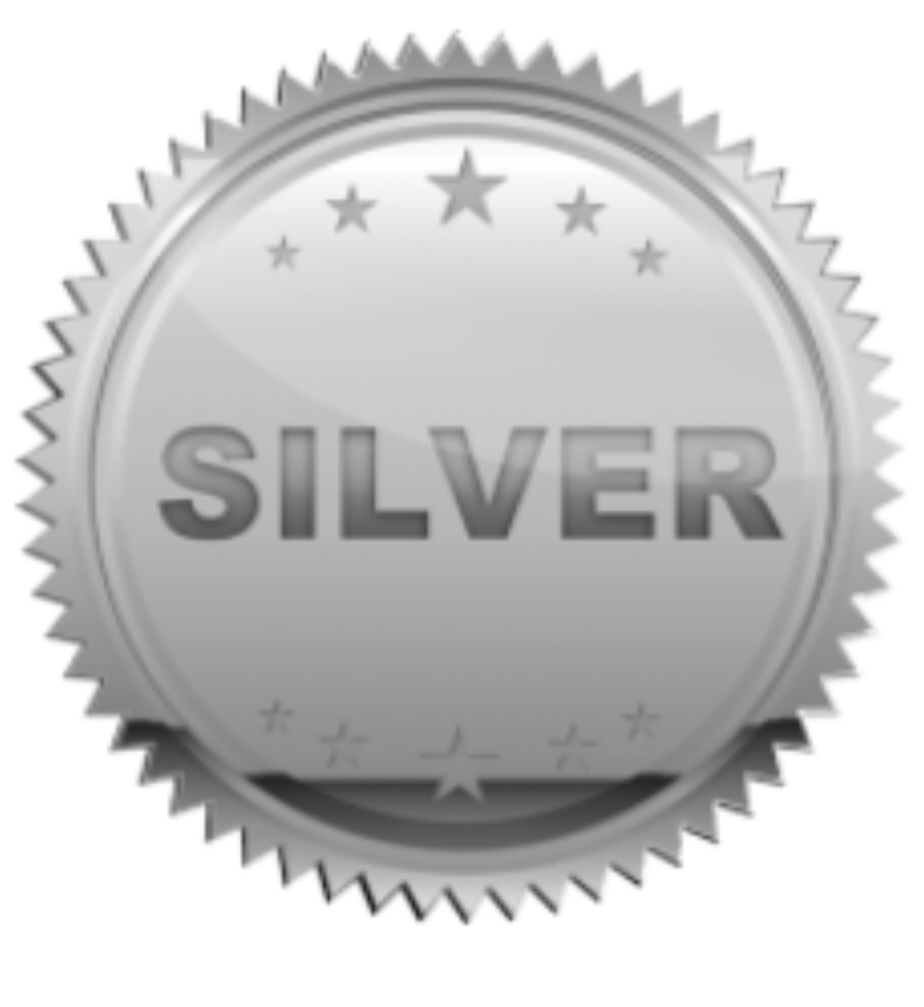 Randall L Woodfin 4th Annual Charity Golf Tournament - Default Image of Silver Sponsor