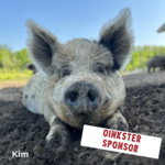 Image of Oinkster Sponsor