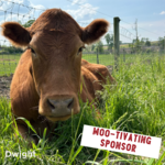 Image of Moo-Tivating Sponsor