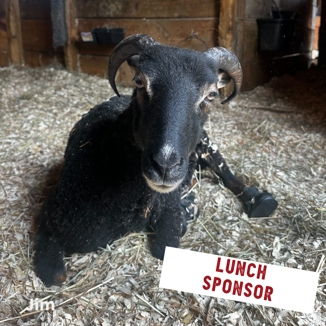 Barn Sanctuary's First Golf Classic - Default Image of Lunch Sponsor