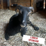 Image of Lunch Sponsor