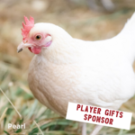 Image of Player Gifts Sponsor