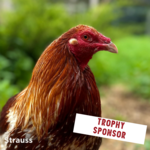 Image of Trophy Sponsor