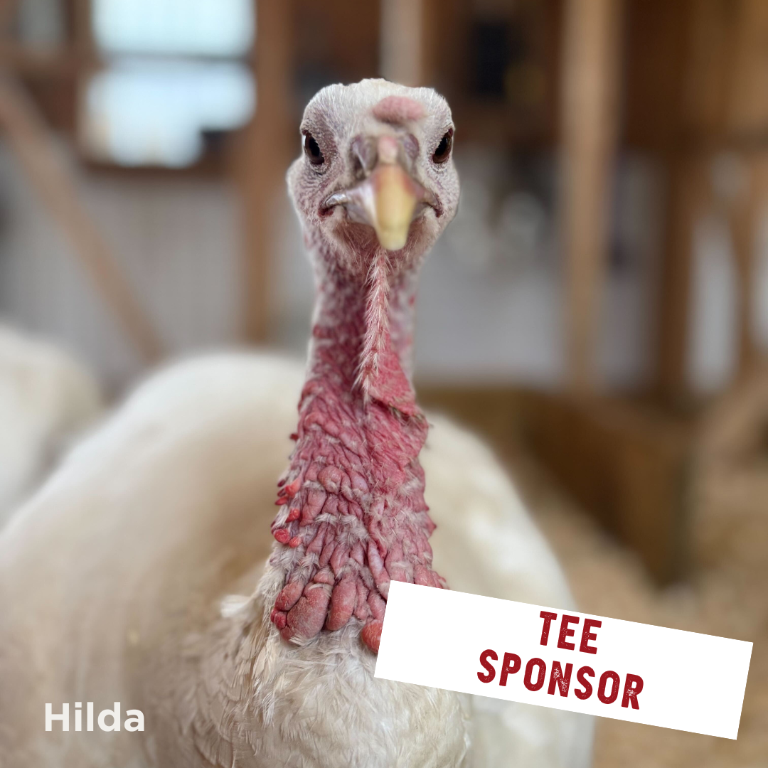 Barn Sanctuary's First Golf Classic - Default Image of Tee Sponsor