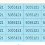 Image of General Raffle