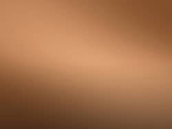 Frederick County Career Firefighters Memorial Golf Tournament - Default Image of Bronze Sponsor