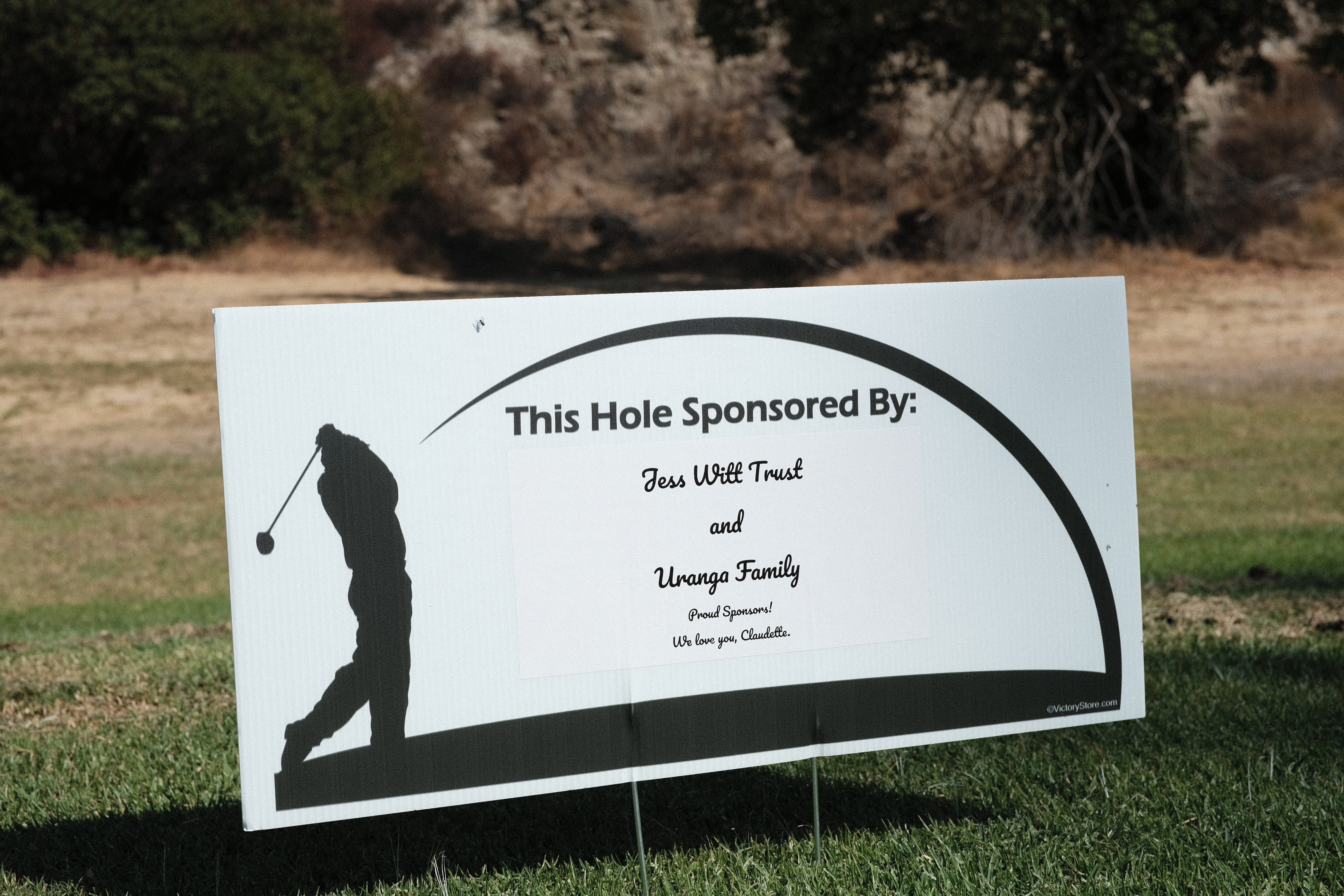 Image of Hole 08 - Play from the Red Tees