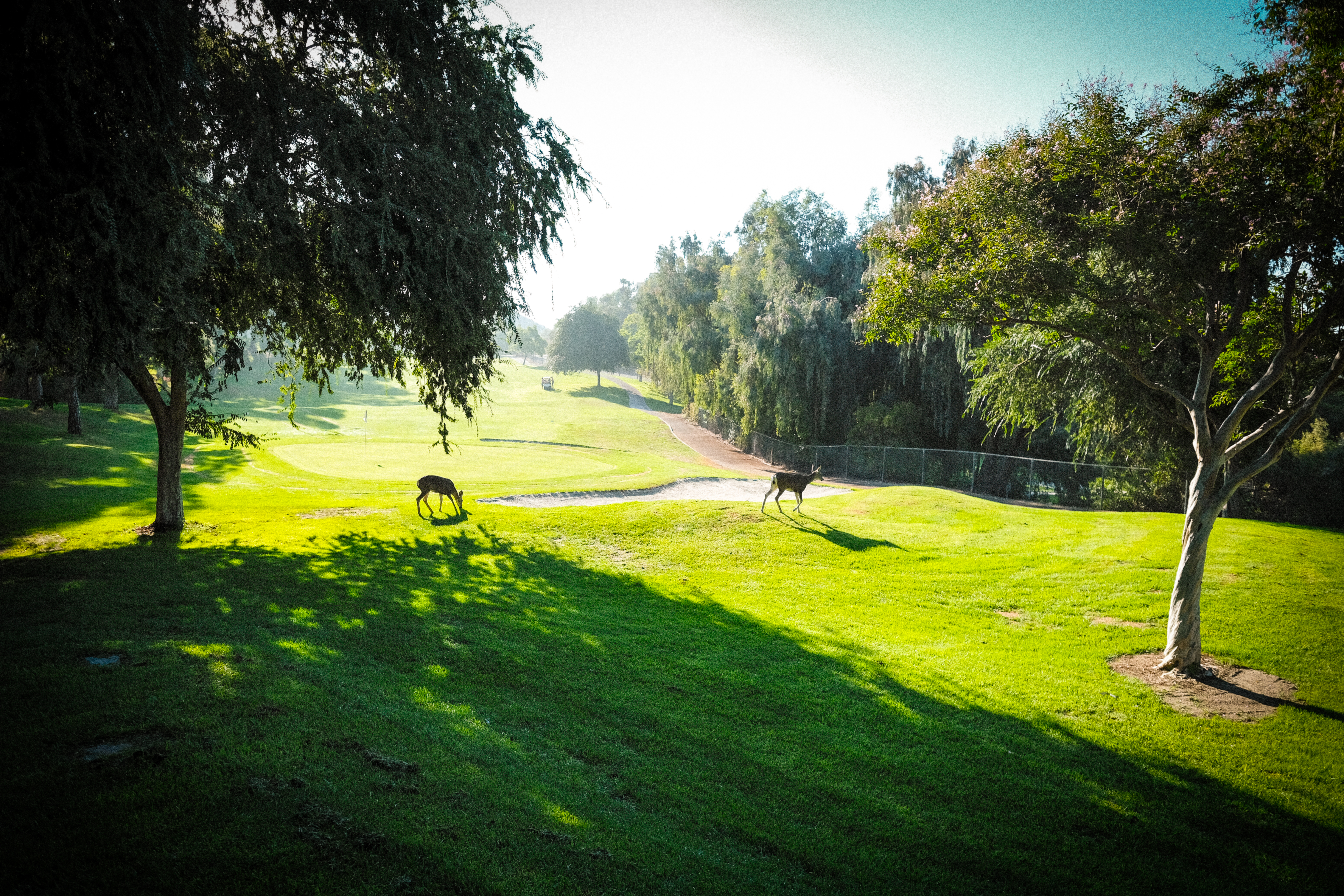 2nd Annual "Clubbing For Claudie" Metastatic Breast Cancer Charity Golf Tournament - Default Image of Golden Eagle Sponsor