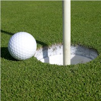 4th Annual Alumni & Friends of Penn State Men's Hockey Golf Classic - Default Image of Putting Green Sponsor