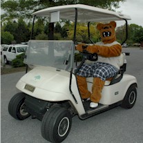 4th Annual Alumni & Friends of Penn State Men's Hockey Golf Classic - Default Image of Golf Cart Sponsor
