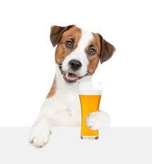 Image of Water bowl (Beer Cart)