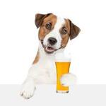 Image of Water bowl (Beer Cart)