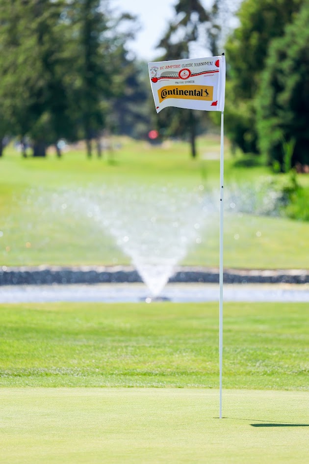 Image of SPONSOR: PIN FLAGS 
