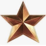 Image of Bronze Level Sponsor ($500)