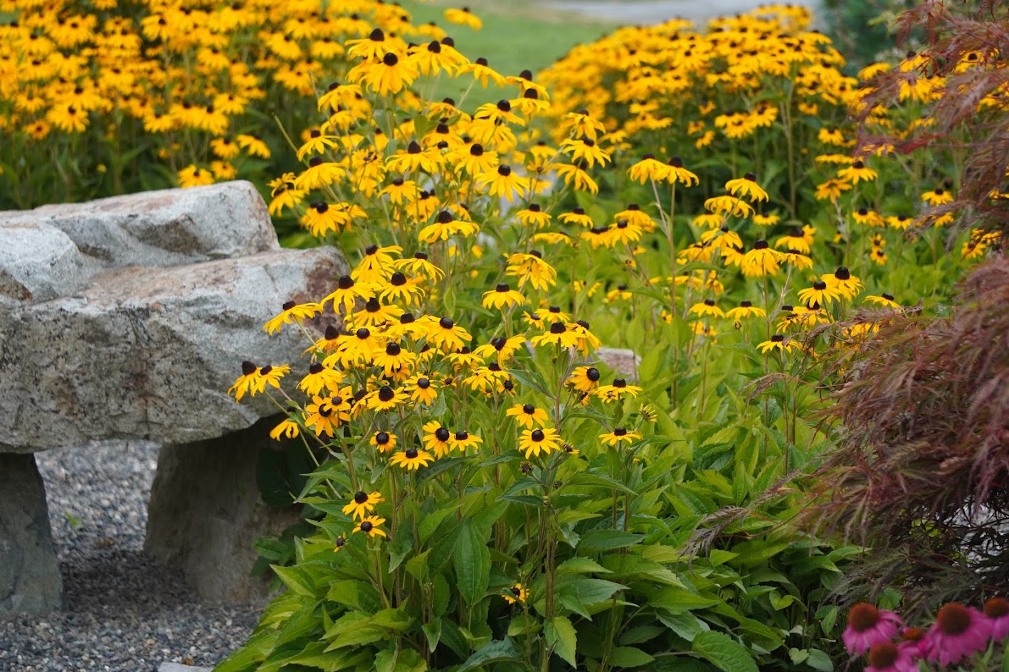 Saccomaniacs Ag4Autism Golf Tournament - Default Image of SPONSOR:  GOLD