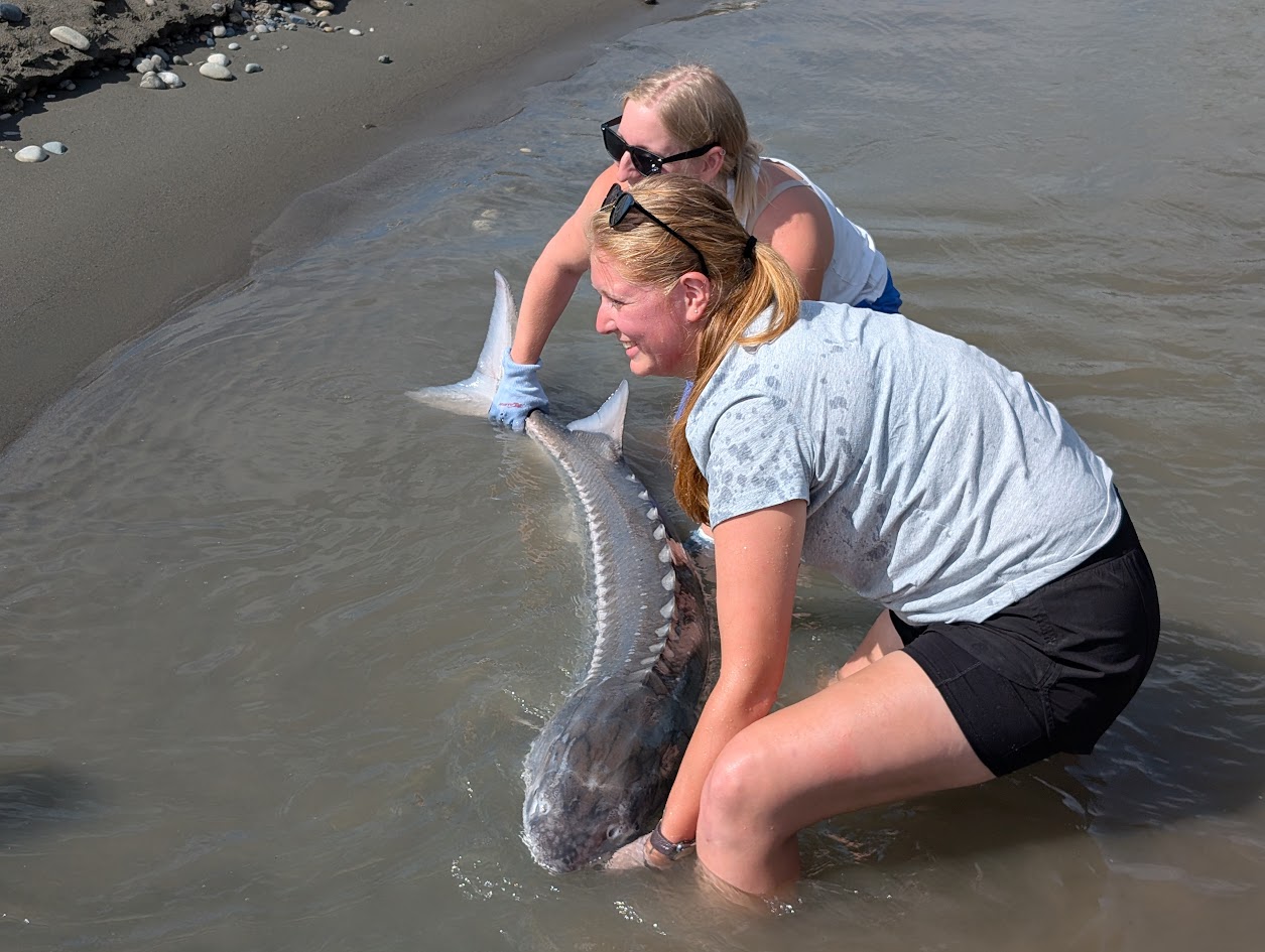 Saccomaniacs Ag4Autism Golf Tournament - Default Image of SPONSOR: FISHING DERBY BRONZE 