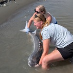 Image of SPONSOR: FISHING DERBY BRONZE 