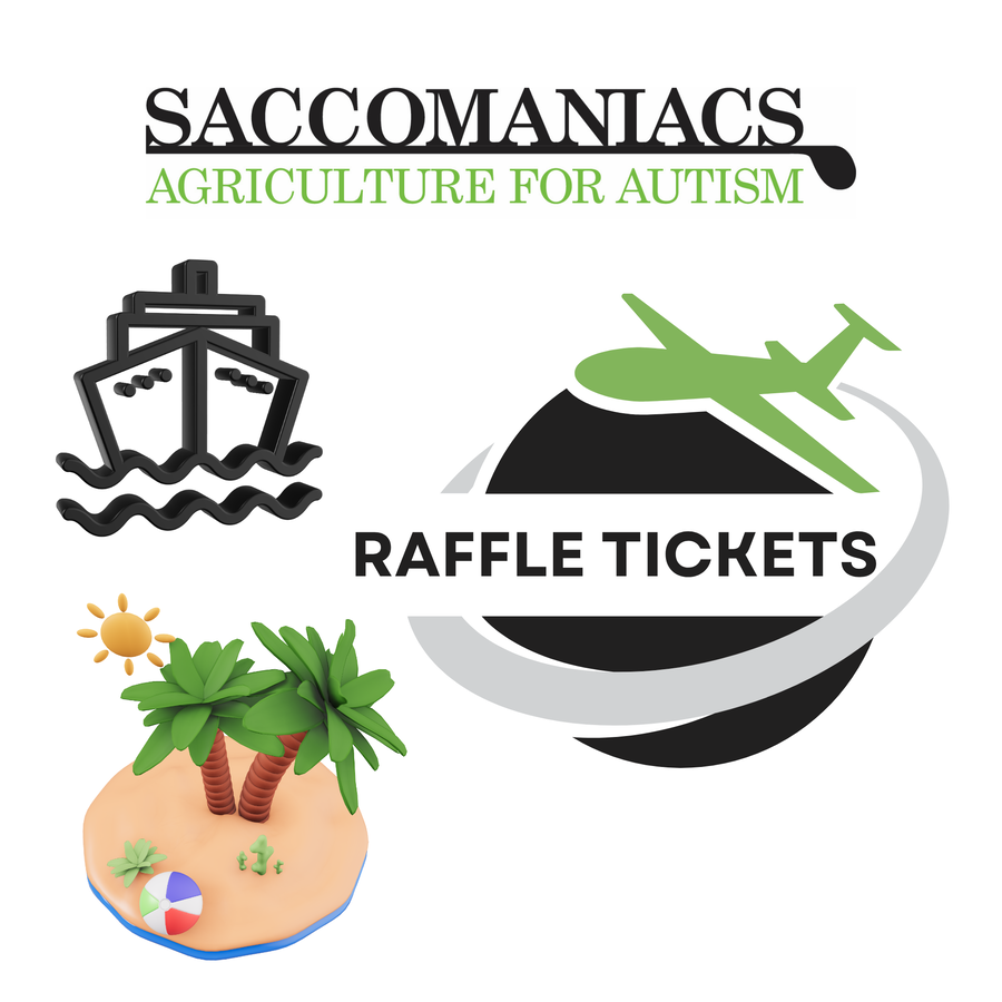 Image of Raffle Tickets: 3 for