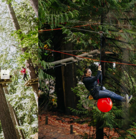 Saccomaniacs Ag4Autism Golf Tournament - Default Image of SPONSOR: ONLINE AUCTION