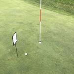 Image of Par 3 Ring of Inclusion Challenge