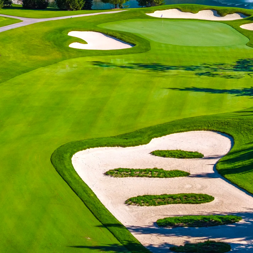 Image of Longest Drive