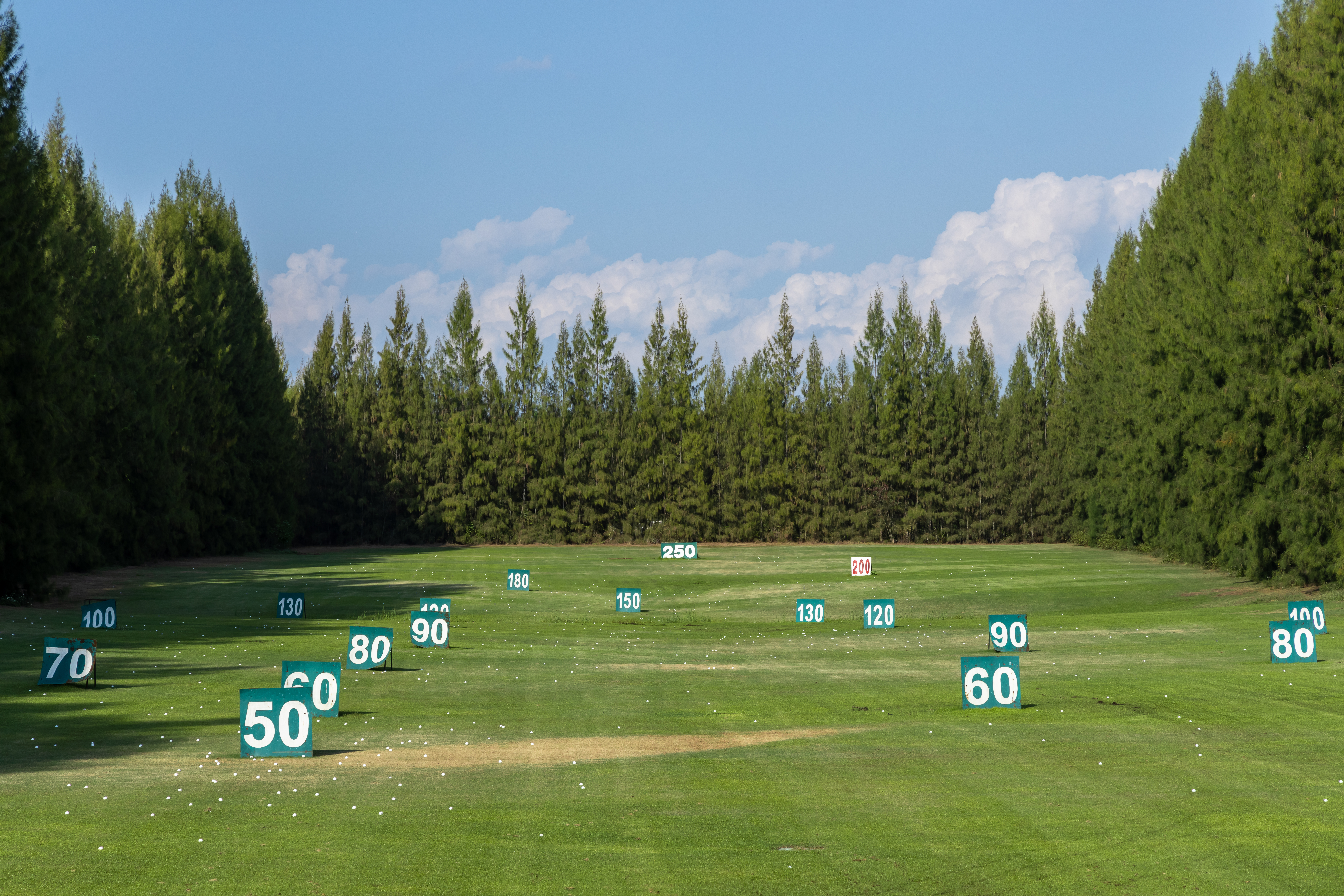 Image of NEW Online Only Offer: Practice Range Sponsor 