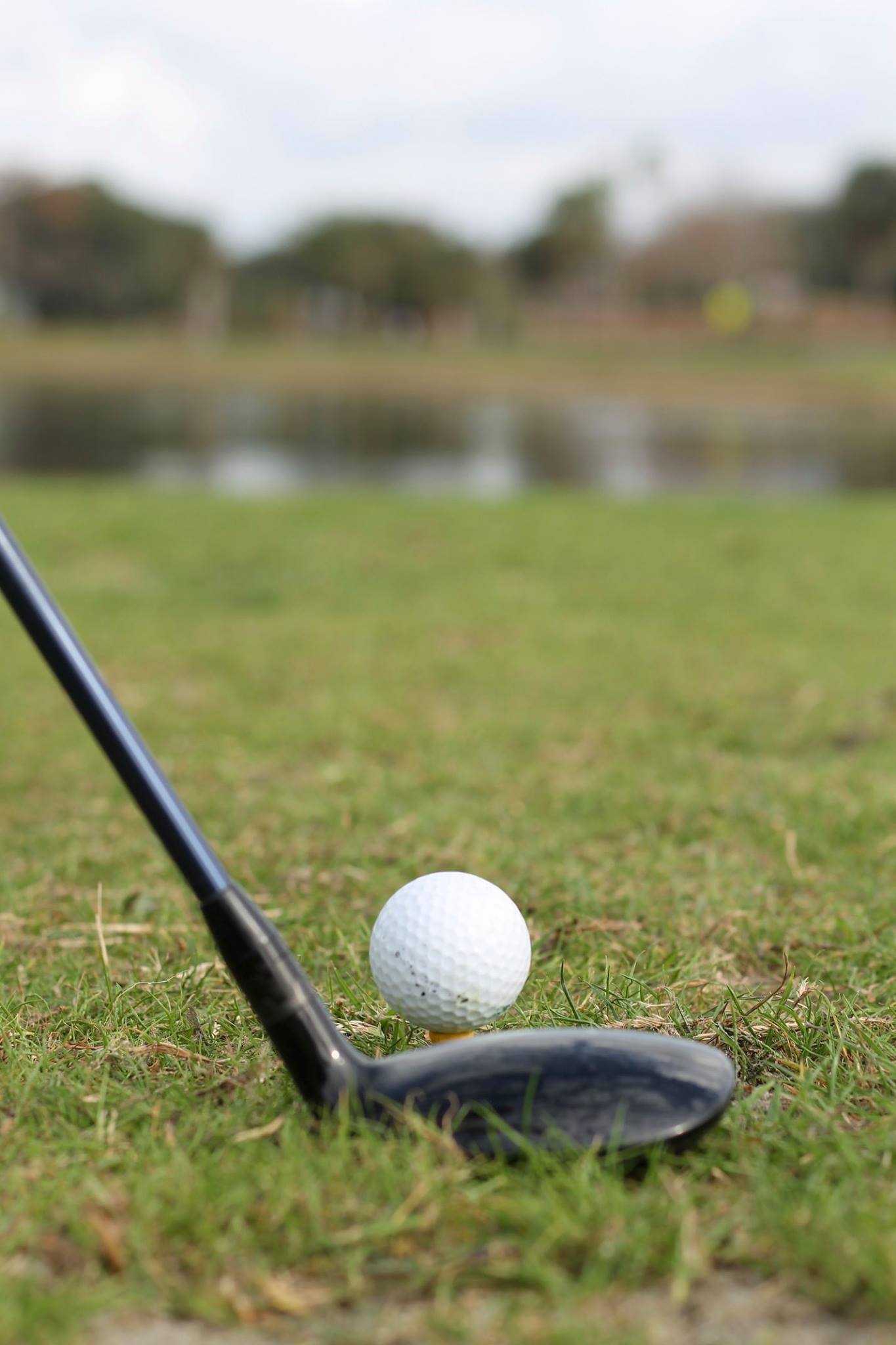 Image of Brian Hoenig Putting Contest