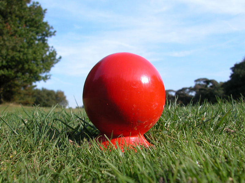 Third Annual Hope Mommies Golf Classic. - Default Image of Team Package/ Golf Benefits  6