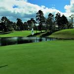 Image of Platinum Event Sponsor