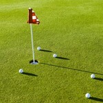 Image of Putting Green Contest Sponsor