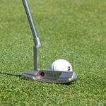 Image of Putting Contest Entry