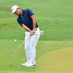 Image of Chipping Contest Entry