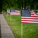 Image of Spectator - Friday 