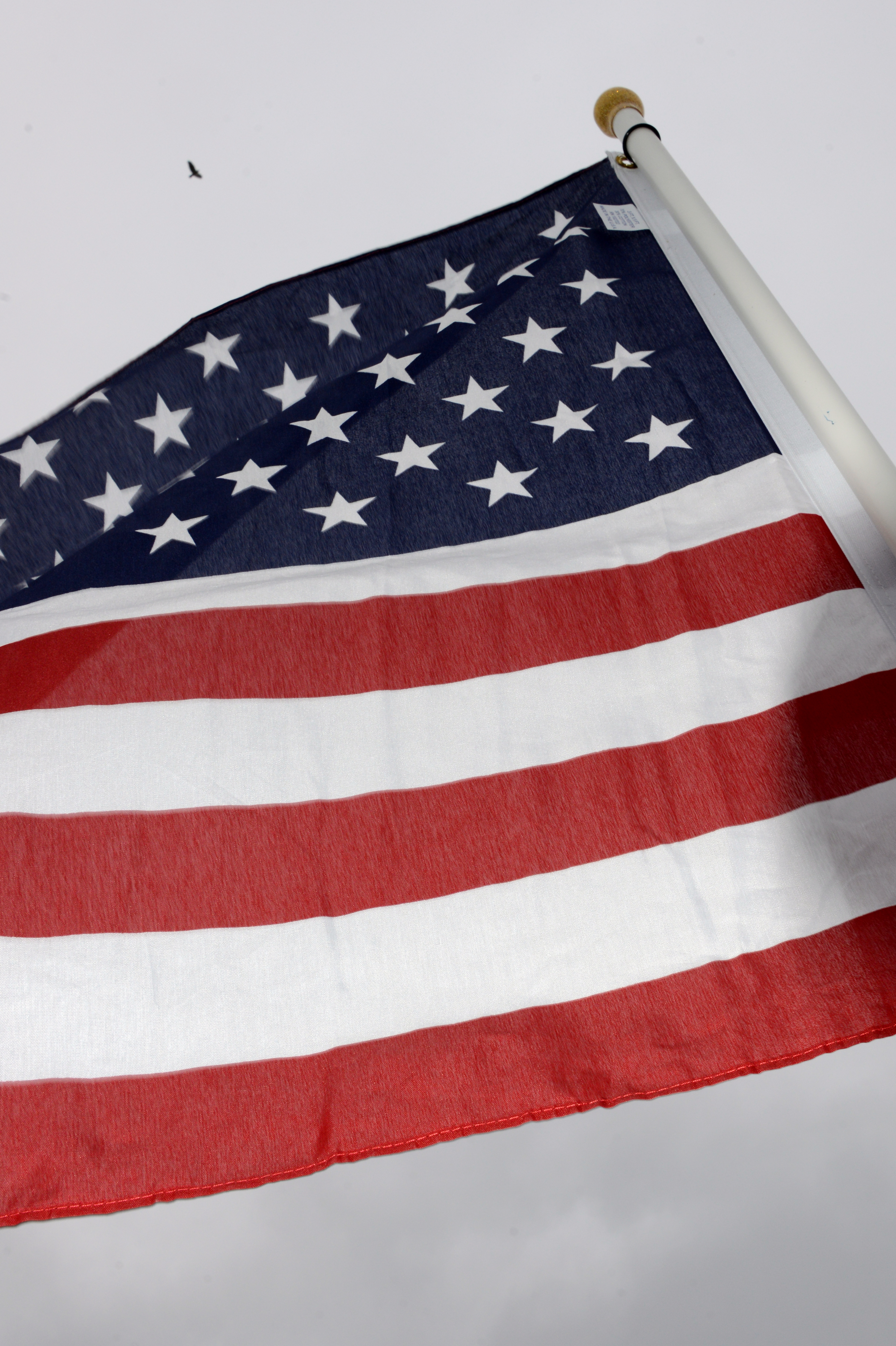 2026 American Legion Golf Classic - Default Image of Scarlett and Blue Sponsor