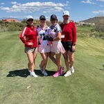 Image of PLATINUM PARTNER