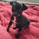 Image of Driving Range Sponsor